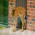 c_t_8438-standard.jpg