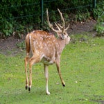 c_t_8463-standard.jpg