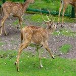 c_t_8466-standard.jpg