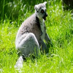 c_t_8799-standard.jpg