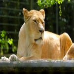 c_t_8834-standard.jpg