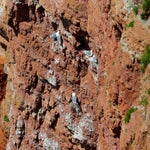 c_t_8854-standard.jpg