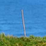c_t_8891-standard.jpg