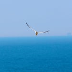 c_t_8899-standard.jpg