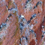 c_t_8953-standard.jpg