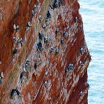c_t_8958-standard.jpg