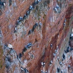 c_t_8966-standard.jpg