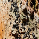 c_t_8979-standard.jpg