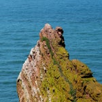 c_t_8996-standard.jpg