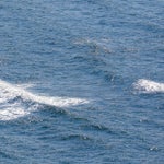 c_t_9345-standard.jpg