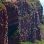 c_t_9385-standard.jpg