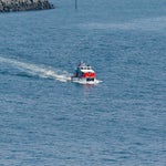 c_t_9456-standard.jpg