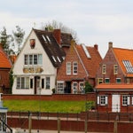 c_t_9492-standard.jpg