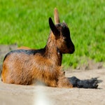 c_t_9927-standard.jpg