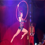circus-roncalli-ludwigsburg-00026-standard-hhanpp.jpg