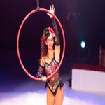 circus-roncalli-ludwigsburg-00029-standard-yvsmff.jpg