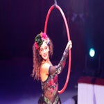 circus-roncalli-ludwigsburg-00031-standard-8nof0w.jpg