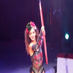 circus-roncalli-ludwigsburg-00032-standard-zmwnhu.jpg