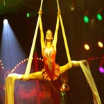 circus-roncalli-ludwigsburg-00073-standard-vfv1me.jpg