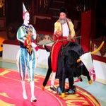 circus-roncalli-ludwigsburg-00074-standard-qc6ajl.jpg