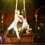 circus-roncalli-ludwigsburg-00110-standard.jpg