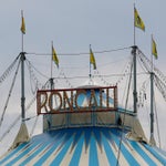 circus-roncalli-ludwigsburg-00220-standard.jpg