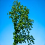 DSC01135.jpg