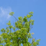 DSC01082.jpg