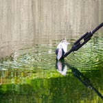 DSC01800-1.jpg