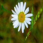 DSC01080.jpg