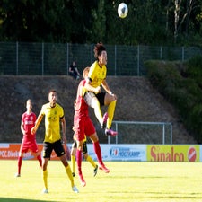 c_t_5347.jpg