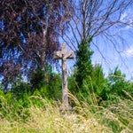 DSC01112.jpg