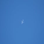 DSC01842.jpg