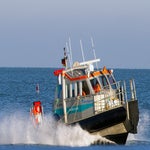 C_T_9253.jpg