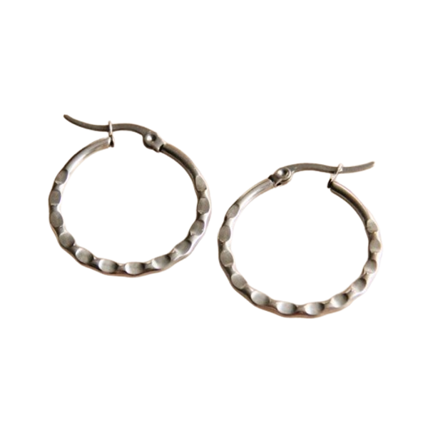 RVS Oorbellen 25 mm | Zilver