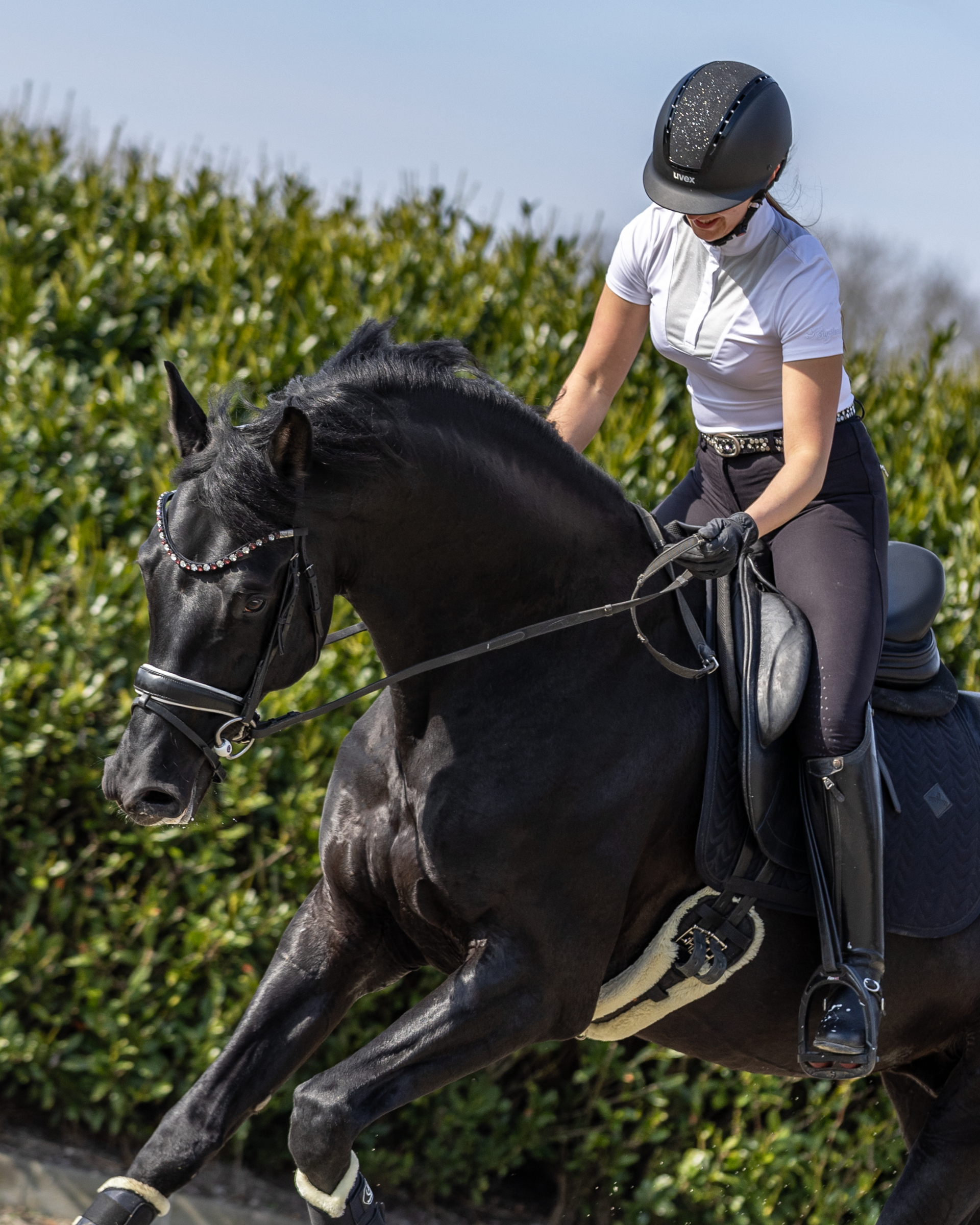Vrouwelijke ruiter geeft haar zwarte dressuurpaard een schouderklop, gefotografeerd door Alyssa Dijkstra in Roosendaal