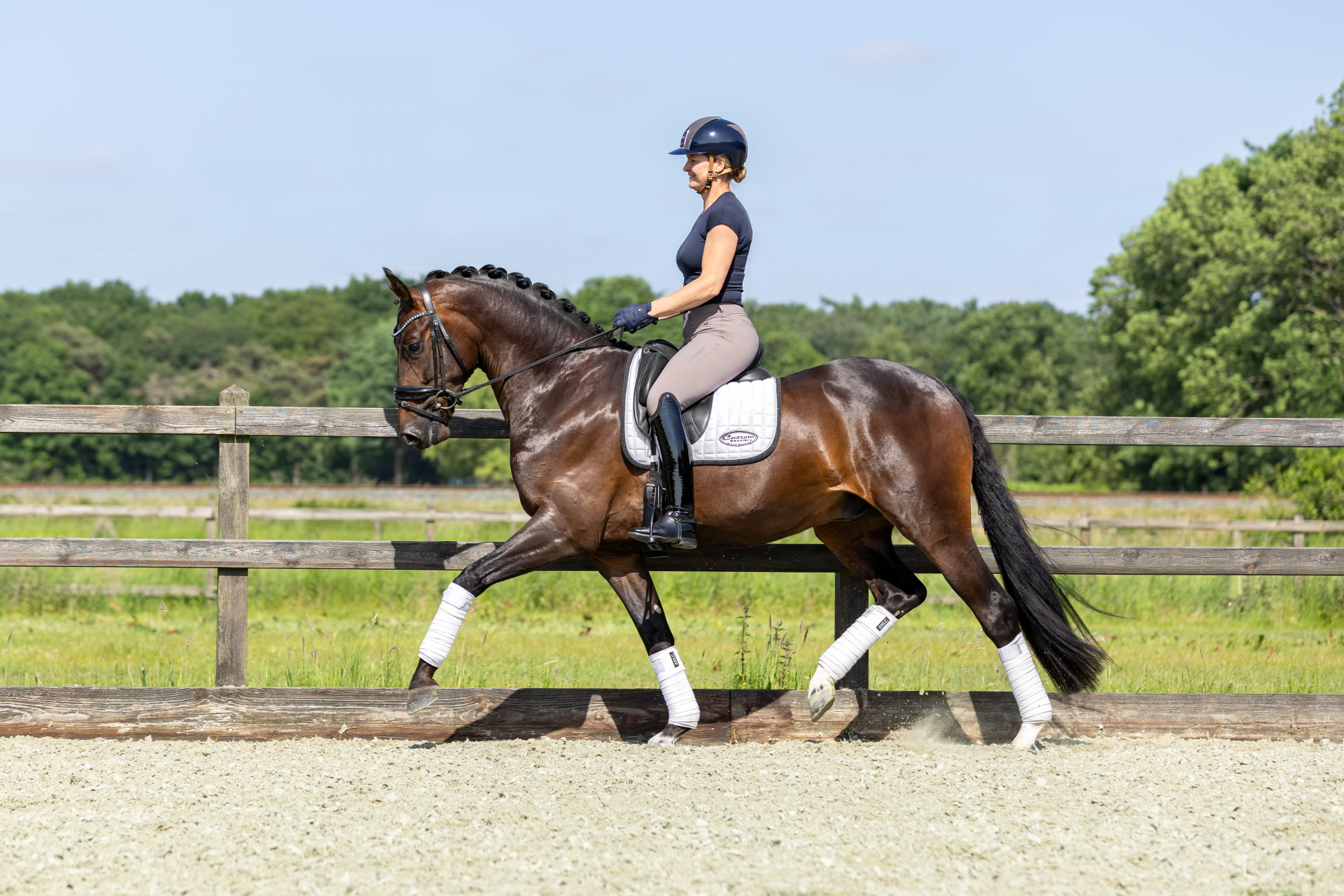 Donkerbruin dressuurpaard tijdens een verkoopreportage in Nispen, bereden door een blonde vrouwelijke ruiter. Foto gemaakt door Alyssa Dijkstra