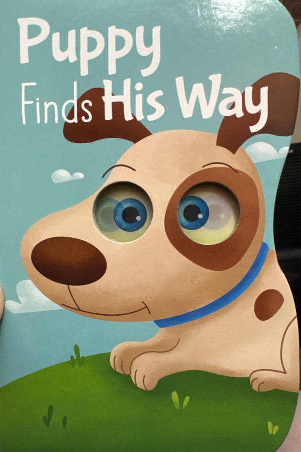 Puppy Finds His Way board book - Greenbrier