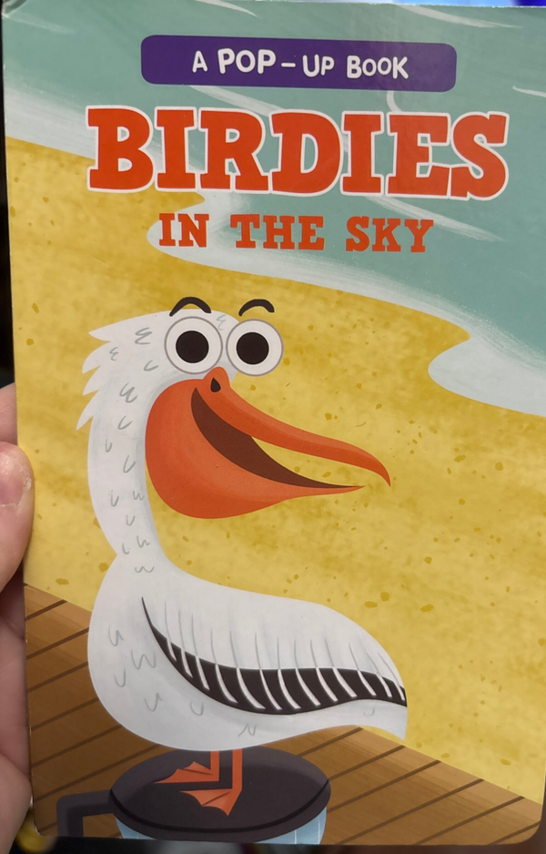 Birdies in the Sky  - A pop-up book