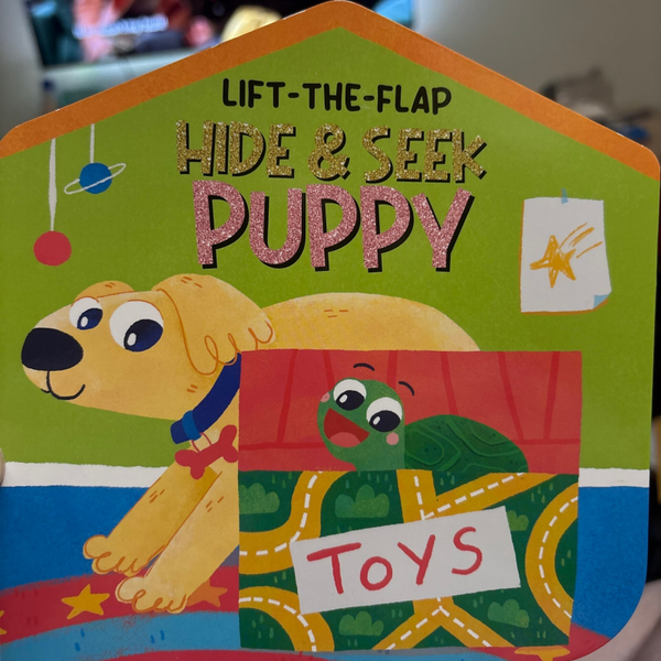 Hide and Seek Puppy lift-a-flap book