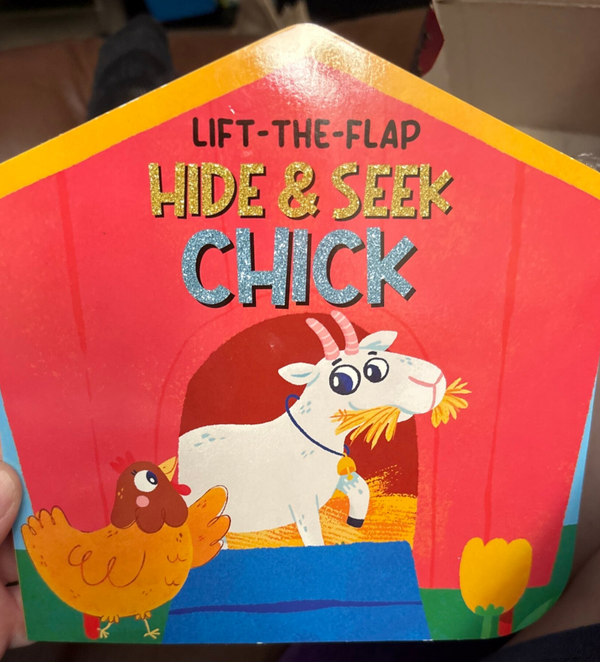 Hide and Seek Chick lift-a-flap book