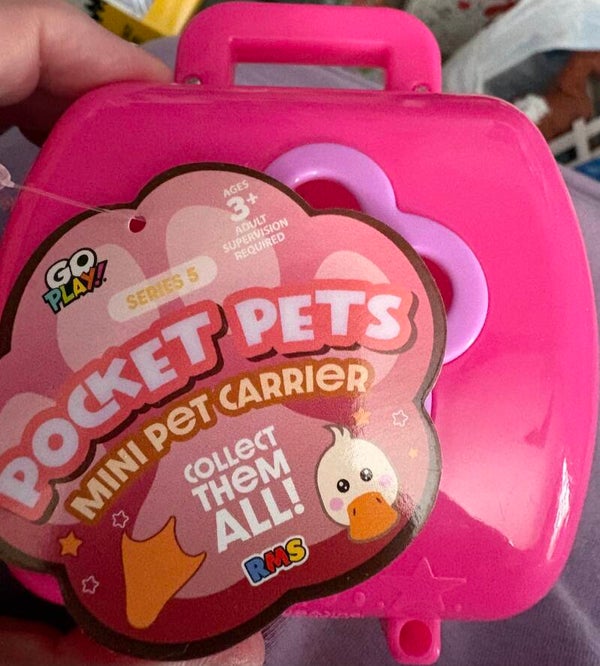 Pocket Pets (Series 5) - Duck with Carrier