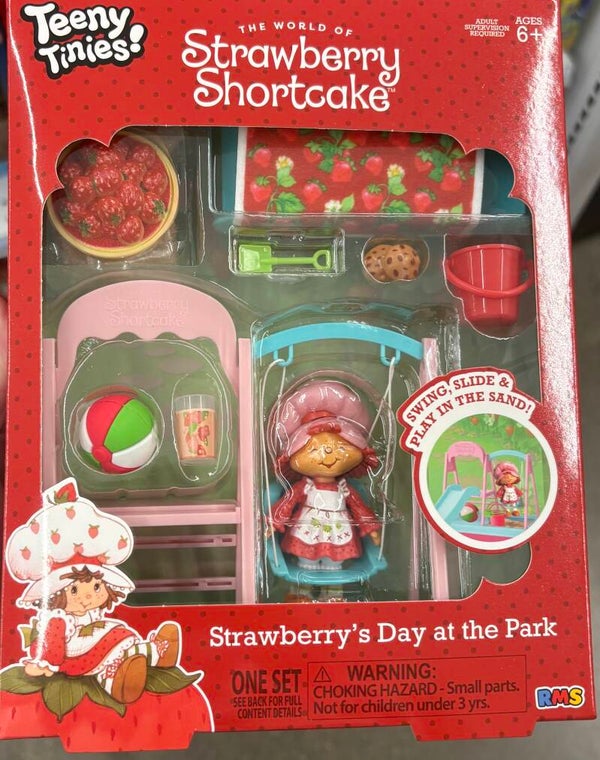 Teeny Tinies - Strawberry Shortcake Strawberry’s Day at the Park  (for Barbie sized dolls)