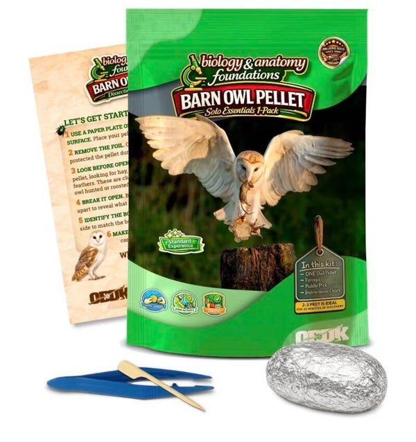 Barn Owl Pellet Dissection Kit