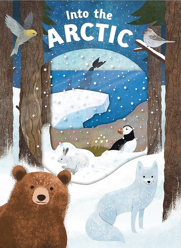 Look Closer: Into the Arctic board book