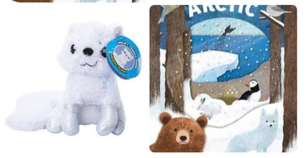 Arctic Fox Book & Buddy Set