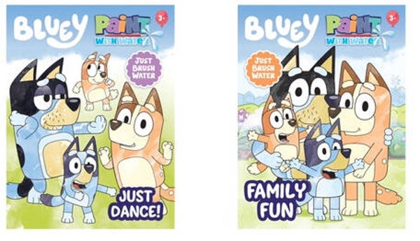 Bluey Paint with Water color books