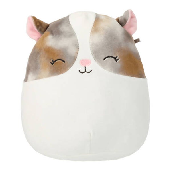 Squishmallows™ (Buddy Squad) - Pax the Guinea Pig plush toy