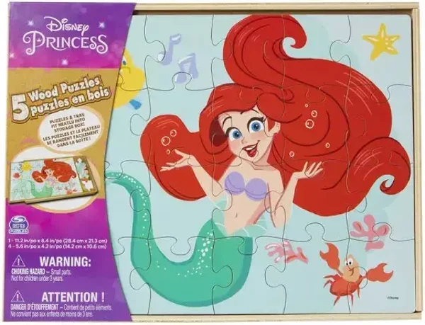 Disney Princess Scenes - Wooden Puzzles in Box (5 puzzles per set)
