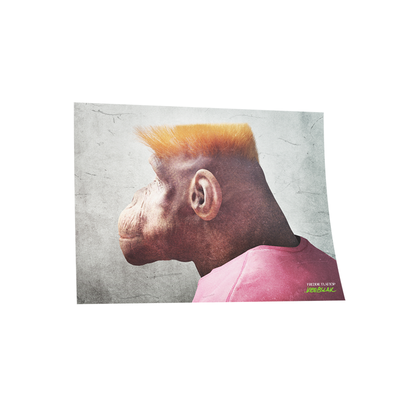 Poster - Freddie Flattop